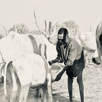 Baai Acuk Tiam by Bro Winner