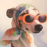 original sound - Frugal Finds