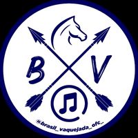 brasilvaquejadaofc_