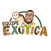 equipe.exotica