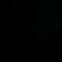 suara asli - ‍ ‍ ‍ ‍