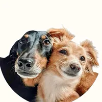 CÃOGUIÇA