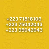 alfoussenicollection