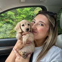 sulleytheteenieweenie