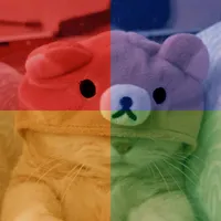 original sound - idkwhattoputinthisspot