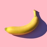 edits.about.everything