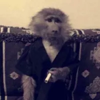 original sound - lulucenterr