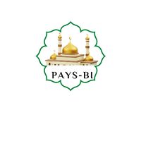 paysbi