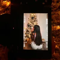 original sound - dobby_elchihuahua4