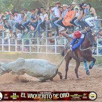 carlosdanielmalpica19