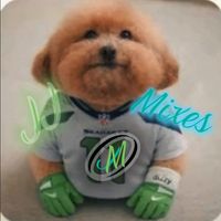 jj_mixes32