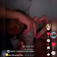 lavifelix2_234