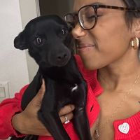 barackthechi