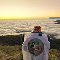 www.wildperutravel.com