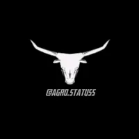 original sound - agro.statuss