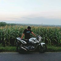 suara asli - Mas jarochim