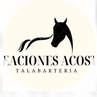 creaciones_acostajujuy