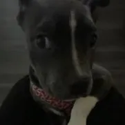 Popular ppl be using my sound