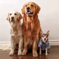 original sound - ittakesthreetobe