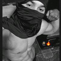 h4p241cr