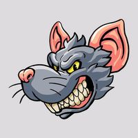 suara asli - TUBAN_ROCKET 🚀