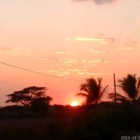 user32010132962308