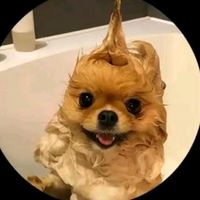 dannyramrez26