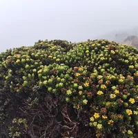 original sound - d_m_todo