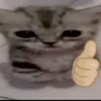 eu não nacdi pra trabalhar como clt