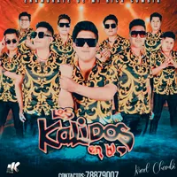 original sound - los_kalidos