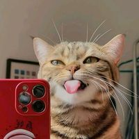 suara asli - Iraaa