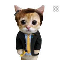 original sound - rai ☃️