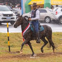 guilhermetreinadormm