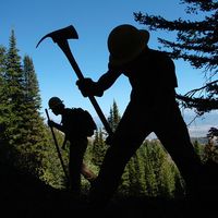 montanaconservationcorps