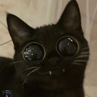 nhạc nền - Sen¥N