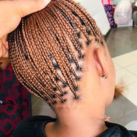 fiwa_braids
