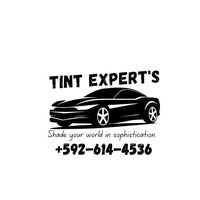 tint_experts1