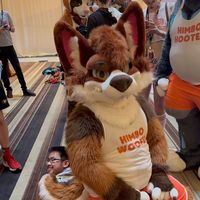 yr_king_bruno