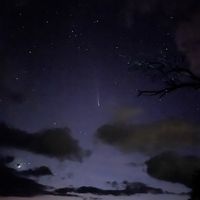 davilaernesto02