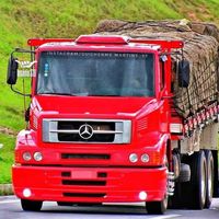 conexaonortesulbr101