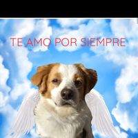 vaninacontreras0