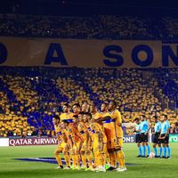 tigres.uanl.10