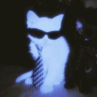 оригинальный звук