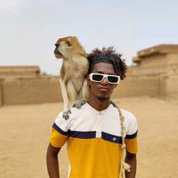 الصوت الأصلي