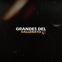 somosgrandesdelvallenato