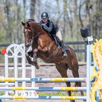 original sound - katelynolson_eq