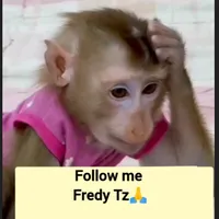 original sound - fredytz45