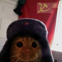 el_gatito_sovietico