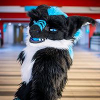 saberyeen