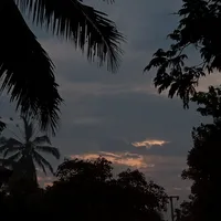 original sound - nuraeni6924